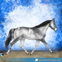 Horse Color:Brown Chinchilla Onyx Tobiano