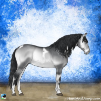 Horse Color:Brown Chinchilla Onyx Tobiano
