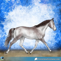 Horse Color:Chocolate Brown Chinchilla Onyx Sabino Rabicano