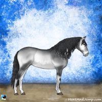 Horse Color:Brown Chinchilla Onyx 