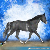 Horse Color:Midnight Brown Chinchilla Ice Onyx Sabino 