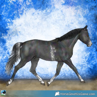 Horse Color:Midnight Brown Chinchilla Ice Onyx Sabino