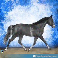 Horse Color:Midnight Brown Chinchilla Ice Onyx Sabino