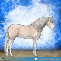 Horse Color:Silver Black Ice Pearl Sabino Splash