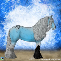 Horse Color:ERROR: UNKNOWN ANOMALY and ERROR: UNKNOWN ANOMALY