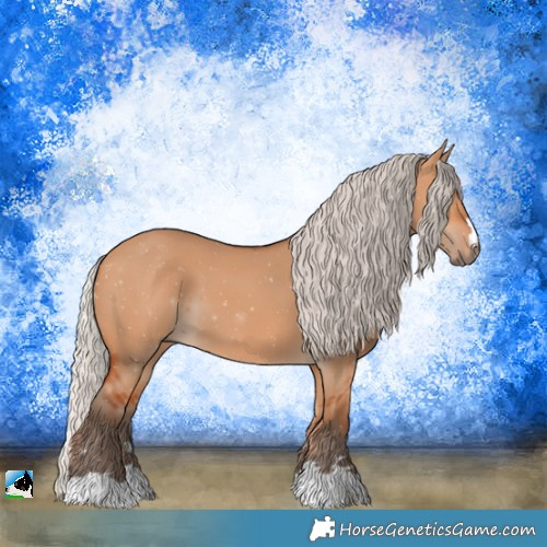 Horse Color:Silver Bay Dun