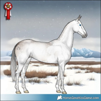 Horse Color:Gray White Spotted Liver Red Dun Roan Splash 