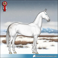 Horse Color:Gray White Spotted Liver Red Dun Roan Splash 