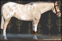 Horse Color:Chocolate Palomino Pearl Tobiano Frame Blanket  and Palomino Pearl Tobiano Frame Blanket 