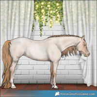 Horse Color:Gold Champagne Roan Pearl Rabicano  and Gold Champagne Roan Pearl Rabicano 