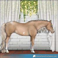 Horse Color:Chocolate Palomino Pearl Tobiano Frame  and Chocolate Palomino Pearl Tobiano Frame 