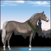 Horse Color:Silver Black Rabicano 