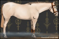 Horse Color:Gold Champagne Roan Pearl Rabicano  and Gold Champagne Roan Pearl Splash Rabicano 