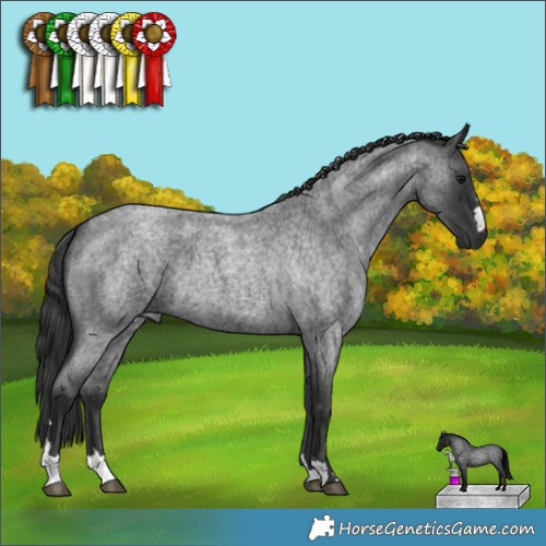 Horse Color:Blue Roan 