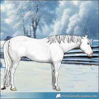 Horse Color:Silver Smoky Creme Dun Splash Tobiano Varnish