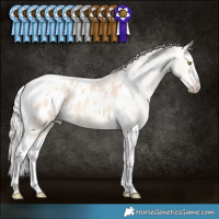 Horse Color:Silver Amber Champagne Dun Splash Tobiano Appaloosa Rabicano 