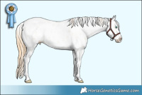 Horse Color:Smoky Black Pearl Sabino Splash 