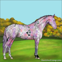Horse Color:Nacre Watercolor White Spotted Bay Ice Pearl Dun