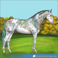 Horse Color:Nacre Watercolor White Spotted Bay Ice Dun Splash 