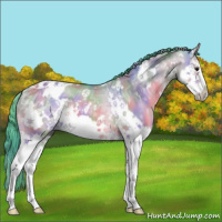 Horse Color:Nacre Watercolor White Spotted Bay Ice Dun Splash 