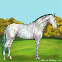 Horse Color:Watercolor White Spotted Buckskin Ice Dun 
