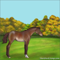 Horse Color:Chocolate Brown 