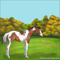 Horse Color:Chocolate Brown Splash Tobiano 