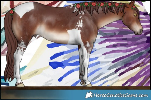 Horse Color:Chocolate Bay Tobiano 