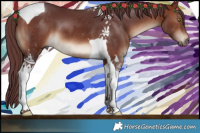 Horse Color:Chocolate Bay Tobiano 