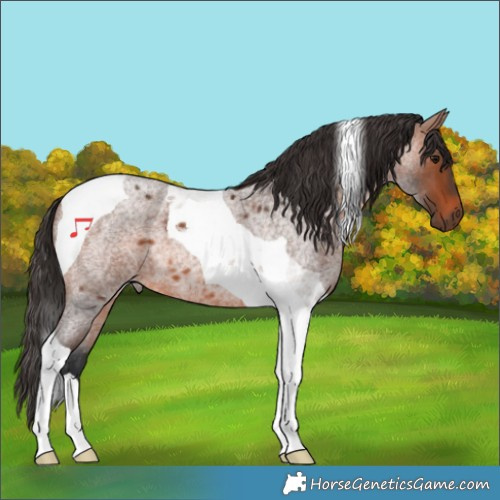 Horse Color:Bay Roan Tobiano 