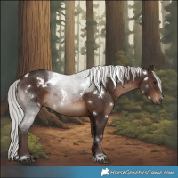 Horse Color:White Spotted Silver Brown 