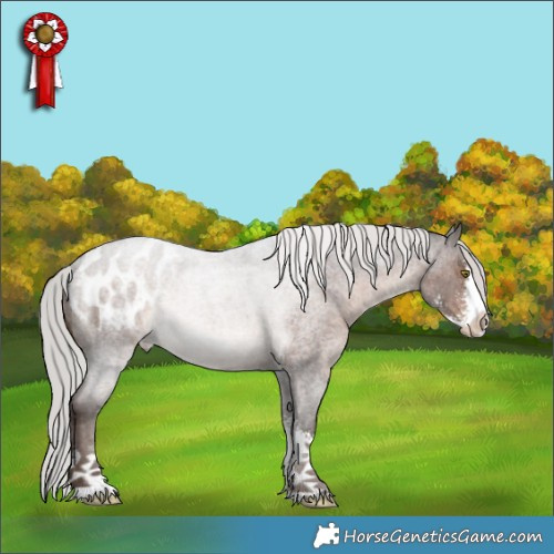 Horse Color:Silver Brown Roan Sabino Appaloosa Rabicano 
