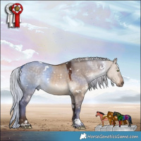Horse Color:White Spotted Silver Brown Dun 