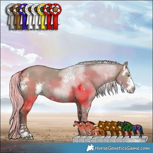 Horse Color:Silver Grullo Sabino 