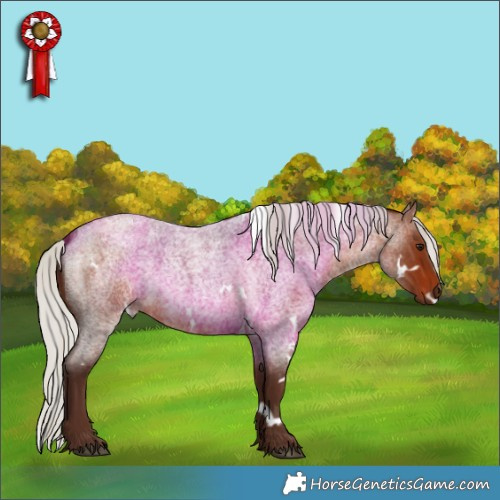 Horse Color:White Spotted Silver Bay Roan 