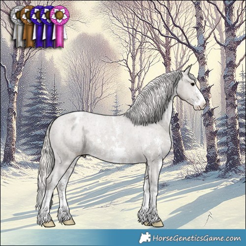 Horse Color:Silver Grullo Sabino Appaloosa 