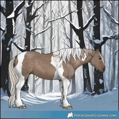 Horse Color:Silver Grullo Tobiano 