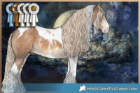 Horse Color:Chocolate Palomino Sabino Tobiano 