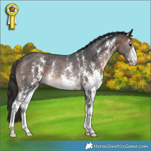 Horse Color:Brown Mushroom Sabino Rabicano 