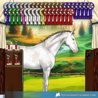 Horse Color:White Spotted Chocolate Palomino Dun Sabino Splash