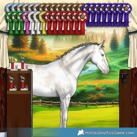 Horse Color:White Spotted Chocolate Palomino Dun Sabino Splash