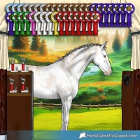 Horse Color:White Spotted Chocolate Palomino Dun Sabino Splash