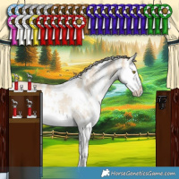 Horse Color:White Spotted Chocolate Palomino Dun Sabino Splash