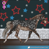 Horse Color:White Spotted Liver Chestnut Tobiano Snowflake Varnish 