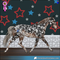 Horse Color:White Spotted Liver Chestnut Tobiano Snowflake Varnish 