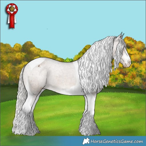 Horse Color:White Spotted Silver Brown Dun Tobiano Appaloosa 