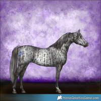 Horse Color:Liver Chestnut  and Gray Liver Chestnut 