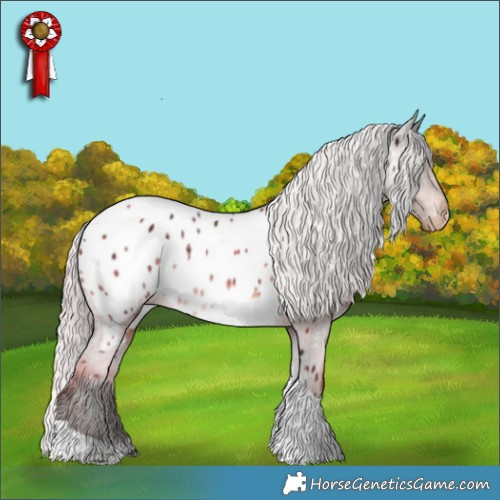Horse Color:Silver Brown Tobiano Appaloosa 