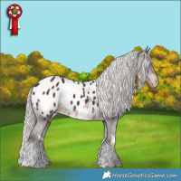 Horse Color:White Spotted Silver Brown Tobiano Appaloosa 