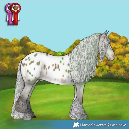Horse Color:White Spotted Silver Brown Dun Tobiano Appaloosa 
